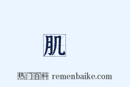 肌膚是什么意思的图片